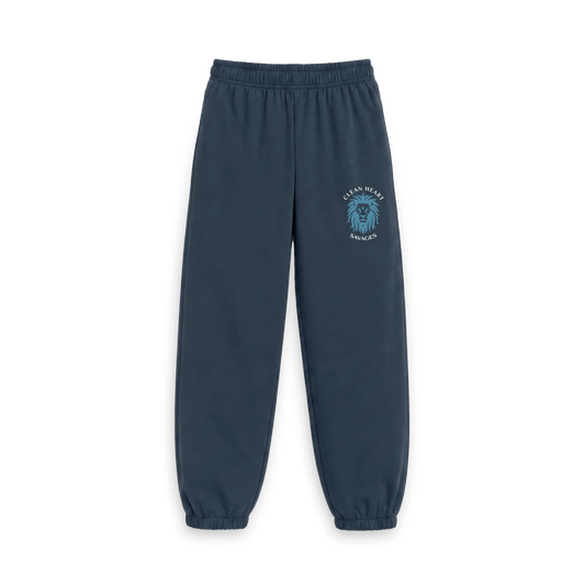 Navy Joggers Front