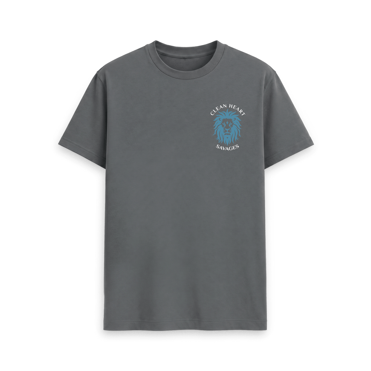 Slate Grey Printed T-shirt Front